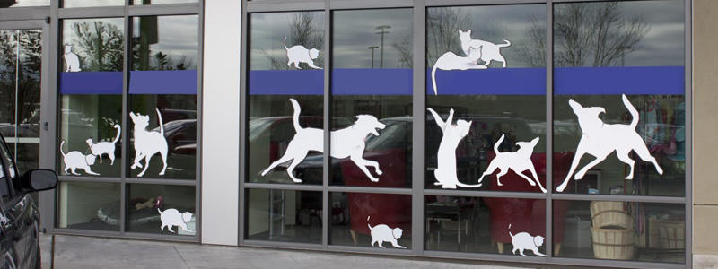 Custom vinyl graphic decals applied to business windows